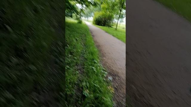 Ну вот и прогулялись с вами 831