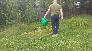 Дача 05.07.2025