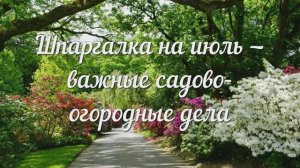 Шпаргалка на Июль - Список Важных Садово-Огородных Дел