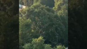 Кадры прилета Герани в Харькове !!!