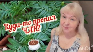 Куда пропал чай? Какая я запасливая! / Жизнь на пенсии в Москве.