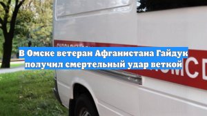 В Омске ветеран Афганистана Гайдук получил смертельный удар веткой