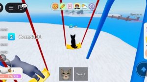 игра котятами