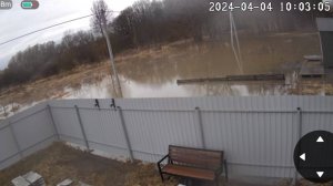По Морошке гуляют бобры (весна 2024)