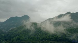 Поля и ритм вместе дарят личную свободу - Just what I had Saw in the Lands down there includes Pulse