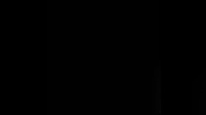 VID-20250609-WA0027