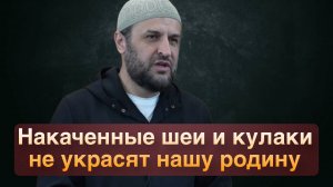 Накаченные шеи и кулаки не украсят нашу родину