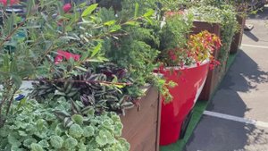 Фитодизайн летней веранды