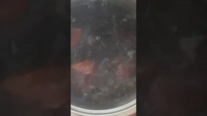 чесночница