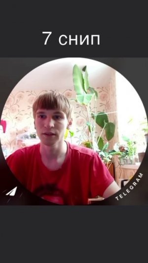 7 снип