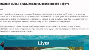 Виды пресноводных рыб 
ProFishing