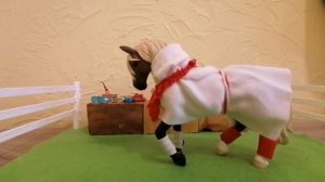 Видео для конкурса.