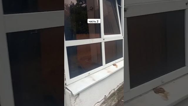 Отдых в Геленджике пансионат строитель