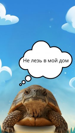 Панцирь для черепахи — это не просто дом.... 🐢.mp4