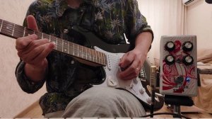 Звук Гилмора на Ginean Hairy Show Fuzz