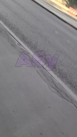 В Москве полицейские на лошадях гоняют мигрантов