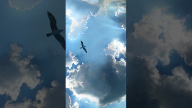 Я по воздушным облакам