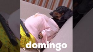 😴