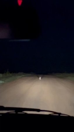 1000681786.mp4