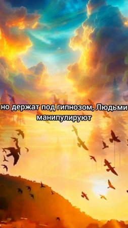 Единственная истина