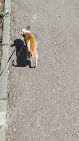 Сеня как всегда со мной❤️