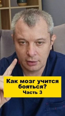 Как мозг учится бояться? Часть 3