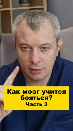 Как мозг учится бояться? Часть 3