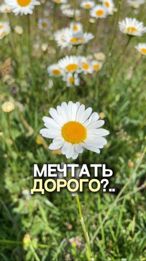 Мечтать — не дорого. Дорого — не иметь плана.