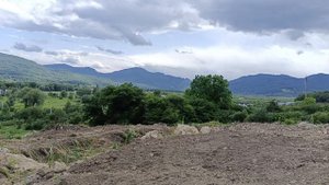 Дегуаская поляна