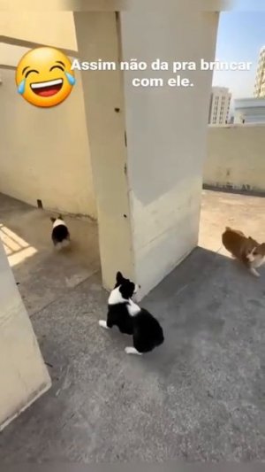 Хорошо когда маленький и удаленький😁