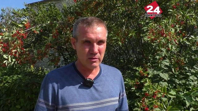 В Димитровграде зарегистрировано три «потеряшки»