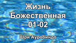 Книга Жизнь Божественная 01-02 (Шри Ауробиндо)