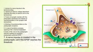 Neurotransmitters and Drugs_Eng (1080p with 25fps)