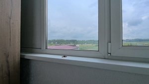 ЛОКТИНСКАЯ