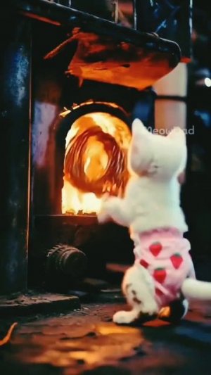 Котенок помог папе #рек #топ #нейросеть #котики #мультики