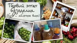 Первый этап бузоделия