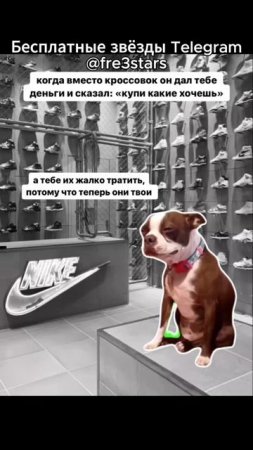 @fre3stars Бесплатные звёзды и подарки в телеграм #мемы #смешно #мем #угар #тг #телеграм #telegram #
