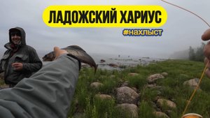 | Ловля хариуса на Ладожским озере |