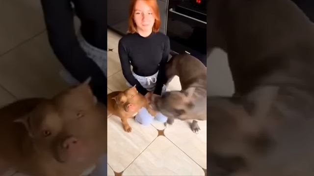 Пока собаки научаться лаять, Настя поправится на 20 кг 🤣🤣😄