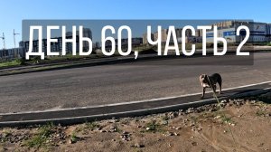 День 60, часть 2
