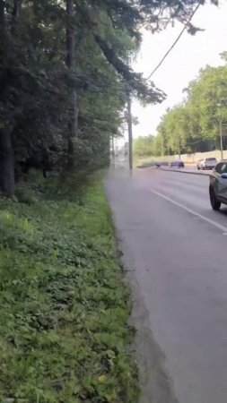 «Вы не поверите, тут челы на конях бегают за таджиками»
