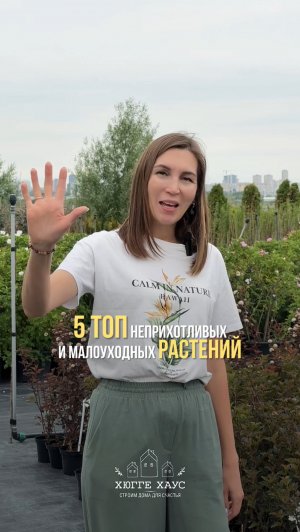 Красивый сад без лишней работы? Легко!