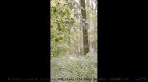 Горы, скорость и звук, который не даёт сбавить обороты! - The Gathering -- A Tape Full of Mistakes -