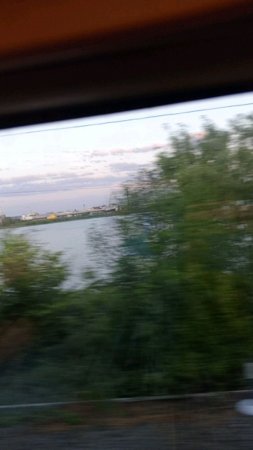 я палю свое лицо, потому что вы набрали на моей трансляции 2 лайка.