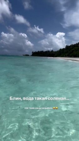 Дразнят