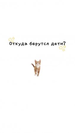 Подпишись 👉 https://vk.com/ykrasheniy_iz_kamny