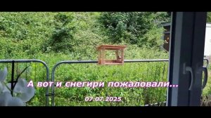 Кормушка для птиц -  07.07.25.