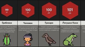 Сравнение_ Громкие Животные