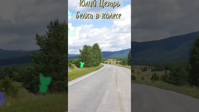 Лето 2025
