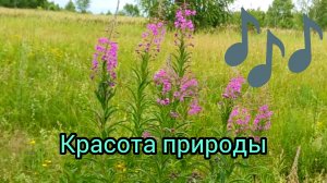 Мы🌲в🍀лесу #красотаприроды #Родина #прогулка